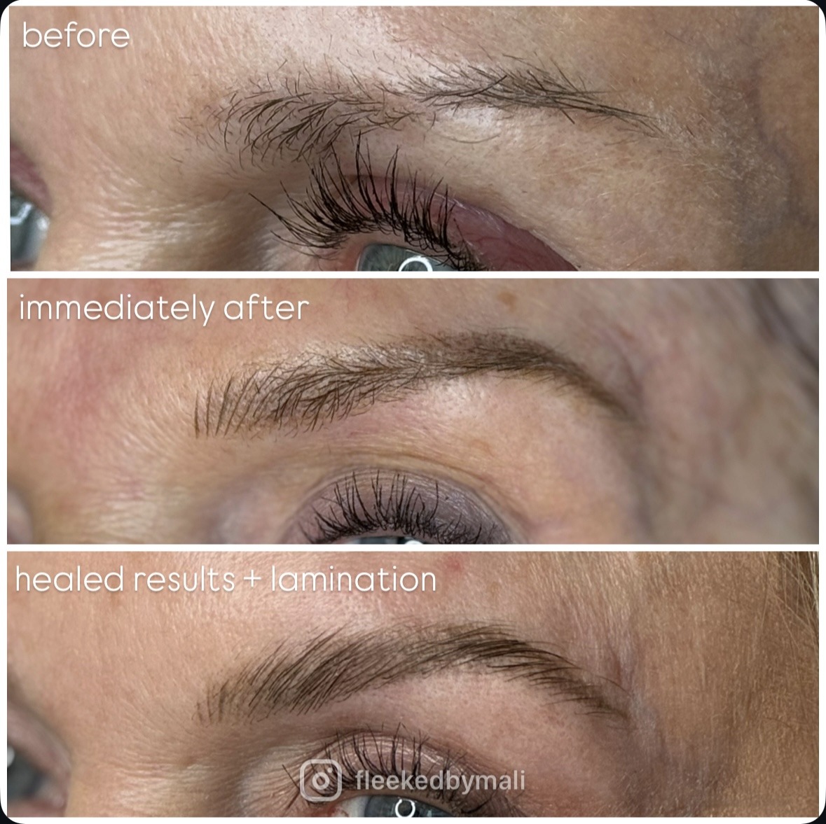 Healed combination brows showing blended machine hair strokes and powder shading at Fleeked Beauty